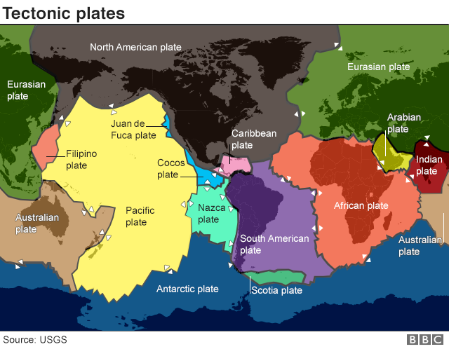 98110020_global_plate_tectonics_640_v4-n